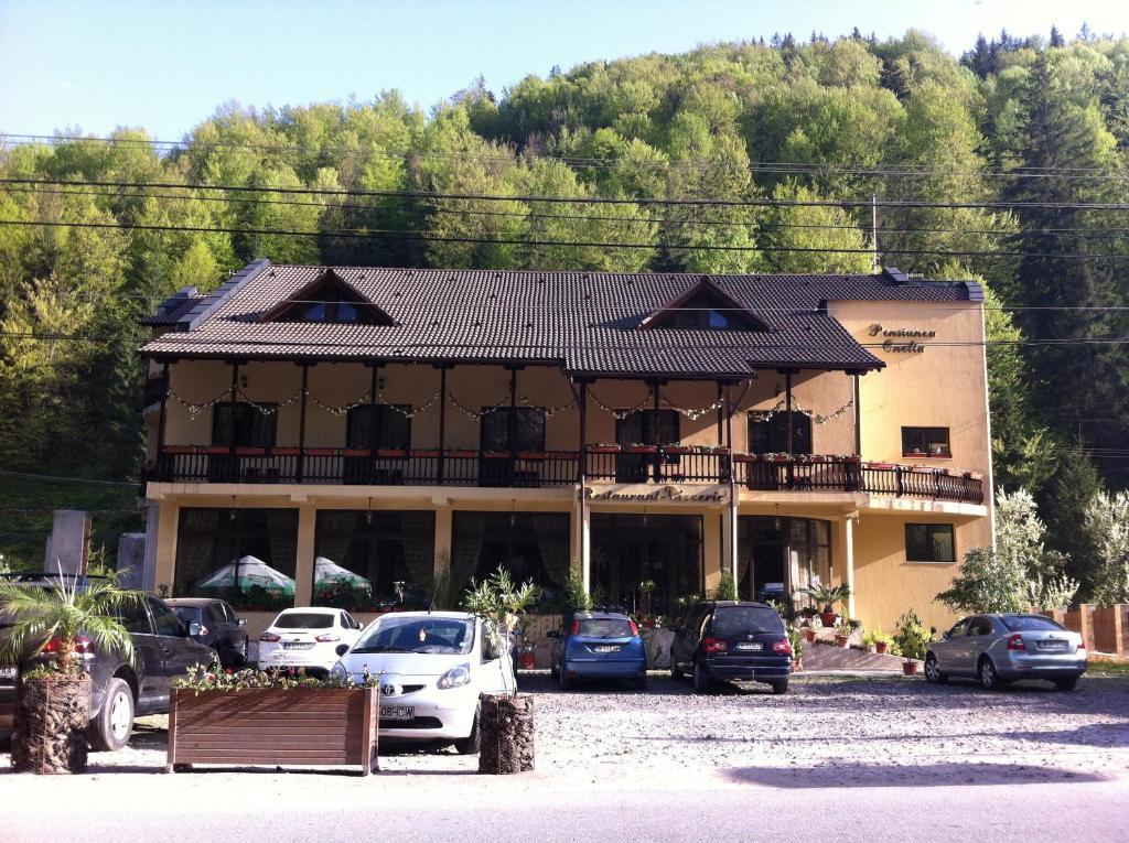 Pension Onelia Gîrda de Sus Exteriör bild